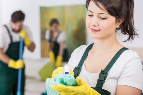 Deep carpet cleaning process removing embedded dirt from household fibres