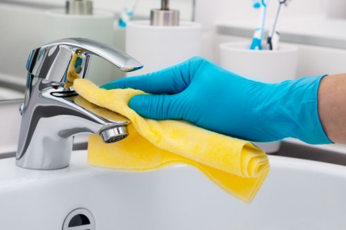 Deep carpet cleaning for pet stain odour removal