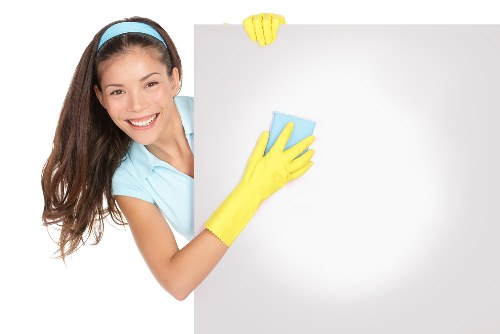 Vacuuming and stain treatment on a sofa